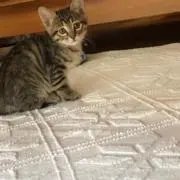 りーーの画像