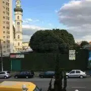 CACAUの画像