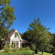 よつば