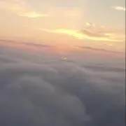 ちぇりーの画像