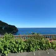 もっちの画像