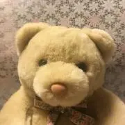 ポリーナの画像