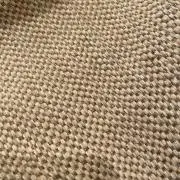 たんたんの画像
