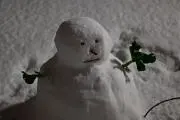 zwbの画像