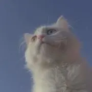 RaBBit ∩∩の画像