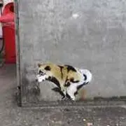 椋堅泉