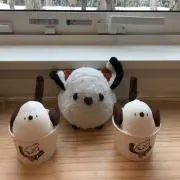 かんな