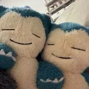 もっちーの画像