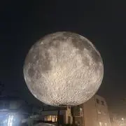 ゆき
