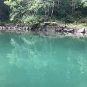 イエローマン