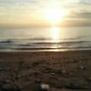 aan