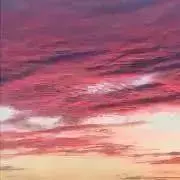 ぶうの画像