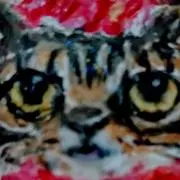 なはももちの画像