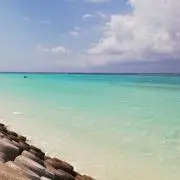 めっこ✨夏物揃ってます❣️お値下げOK✨の画像
