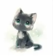 いずみの画像
