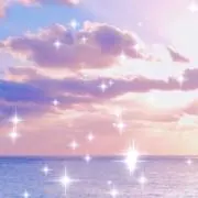 星月花の画像