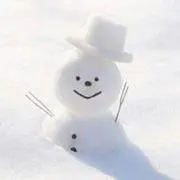 ゆきんこの画像