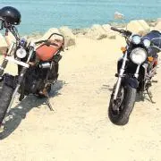 バジル