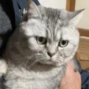 いこ