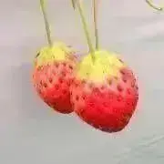 ☆の画像