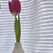 わいの画像