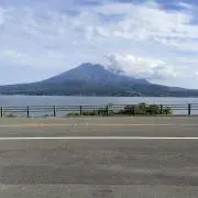 ゆうゆうの画像