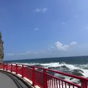 かぴの画像