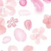 さくらもち＊の画像
