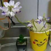 あーみ