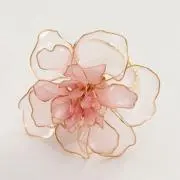 HaNa★即購入可の画像