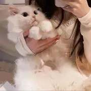 ♡いちご♡❣️即発送可❣️の画像