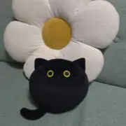 くろねこぼーるの画像