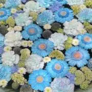 ユキミ【即購入OK！基本即日発送】の画像