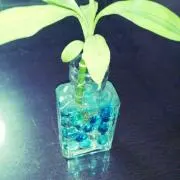 かなの画像