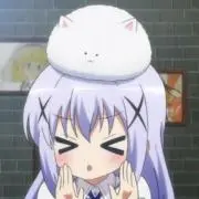 모の画像