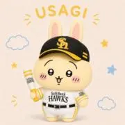 くりの画像
