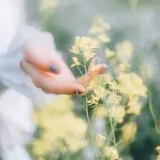 Rina ✦ プロフ必読♡の画像