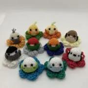 ぴぽきちの画像