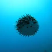 そらの画像