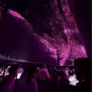 ワッホーン