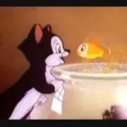 ❤︎フィガロ❤︎の画像