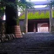 YKコレクションの画像