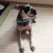おさむの画像