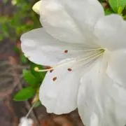 断捨離中の画像