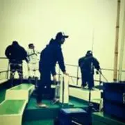 seiseiの画像