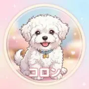 コロンの画像