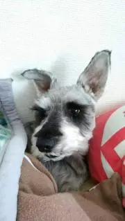 kotarou01100223