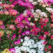のの プロフ必読‼️の画像