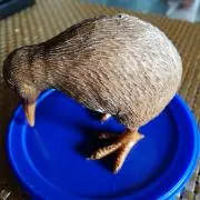 エリニーナの画像