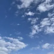ほのぼの